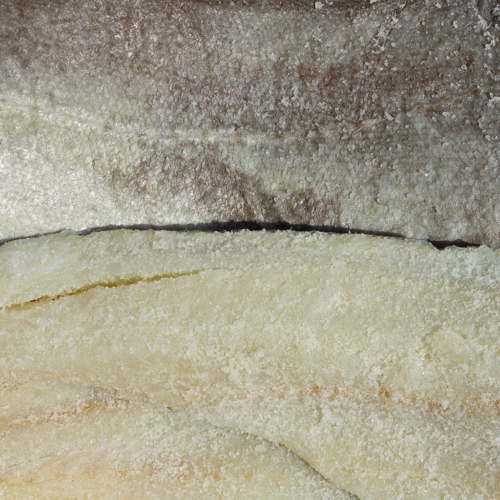 Filetto di merluzzo sotto sale Gadus Morhua